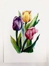 Printed Water Colour Greeting Card
